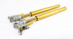 Choose your Triumph Ohlins Road & Track Front End Products & Forks